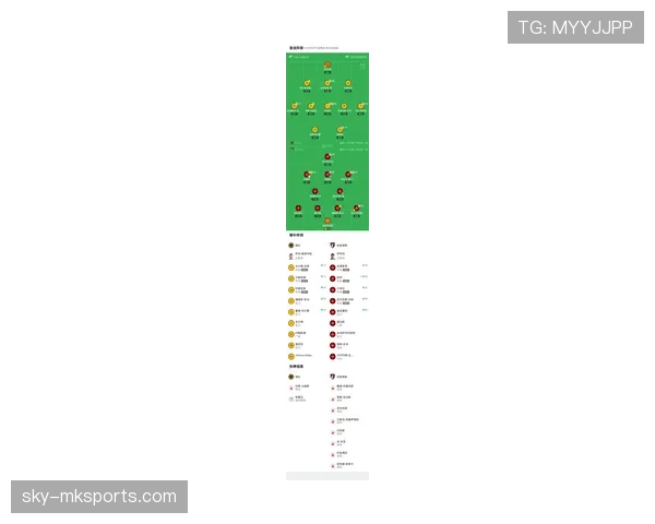 新赛季阵型全面升级，球队战略革新引发广泛关注