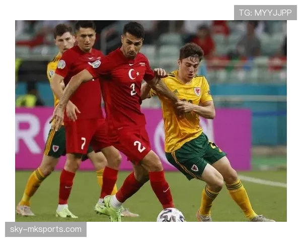 斯洛伐克国家队欧预赛表现稳健,竞技状态稳步提升展现无限潜力 斯洛伐克国家队欧预赛表现稳健,竞技状态稳步提升展现无限潜力